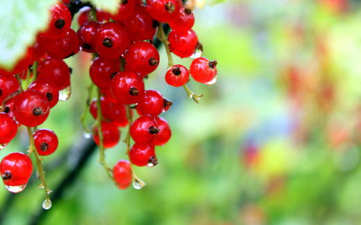 1077981 (a): :2560x1600